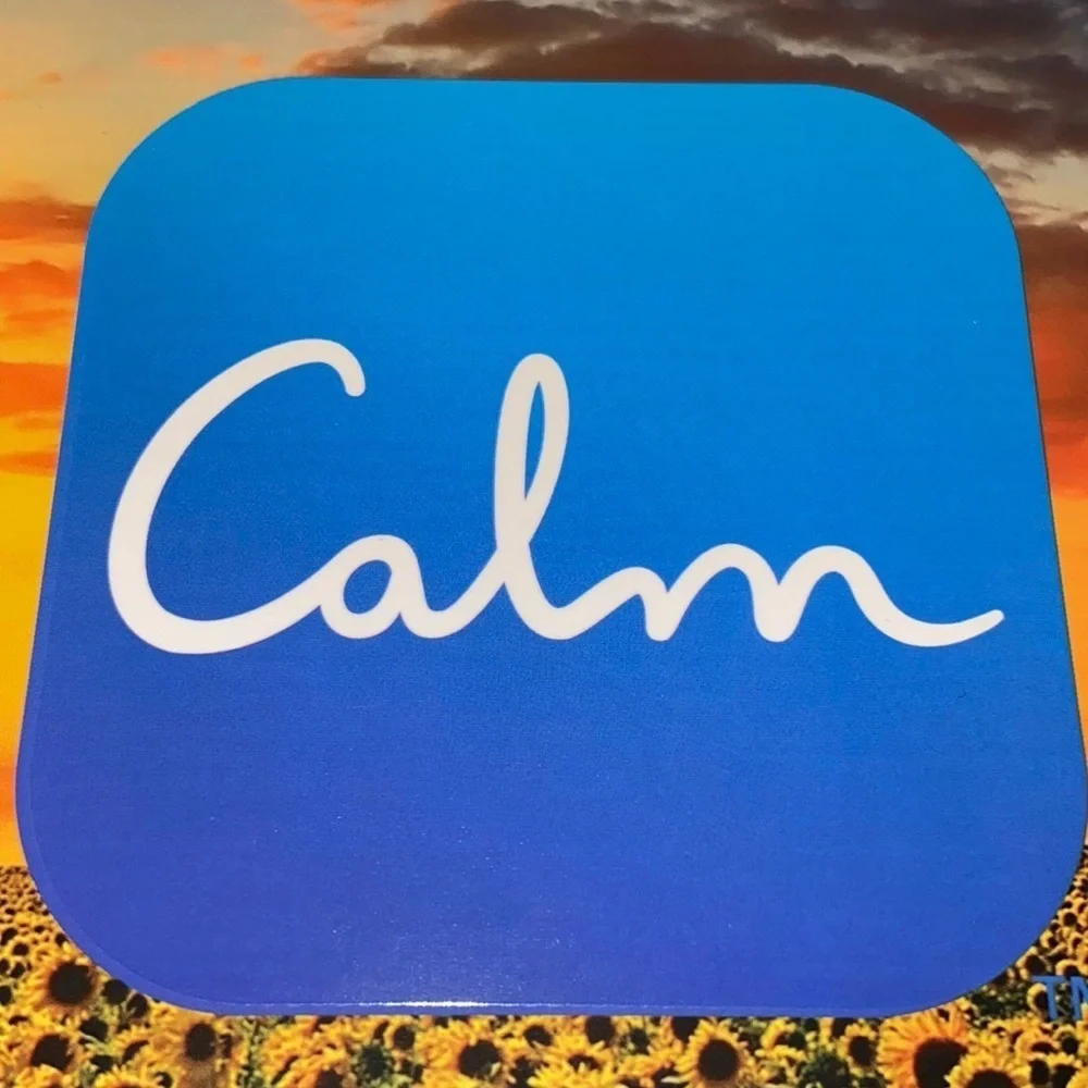 Calm Mindful 300 Piece Puzzle of Sunflower Fields Scenery Set New - Picture 2 of 8